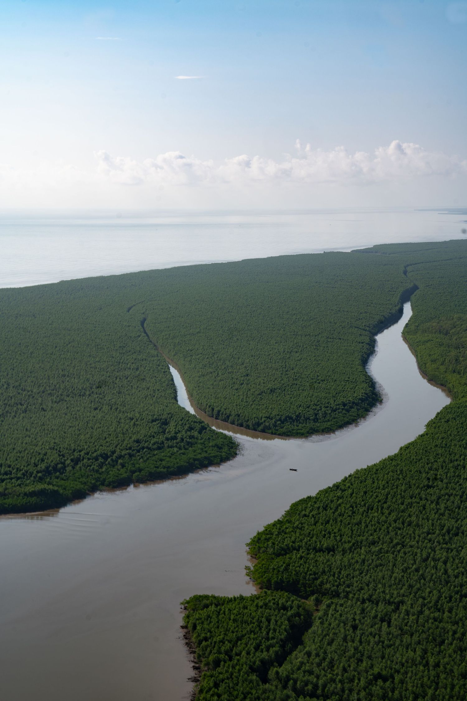 Vue aérienne d'un fleuve serpentant dans la mangrove de Guyane