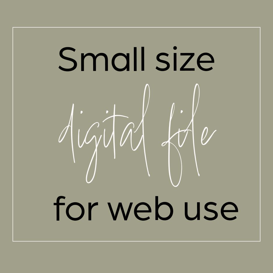 Text graphic showing 'Small size digital file for web use' on a gray background.