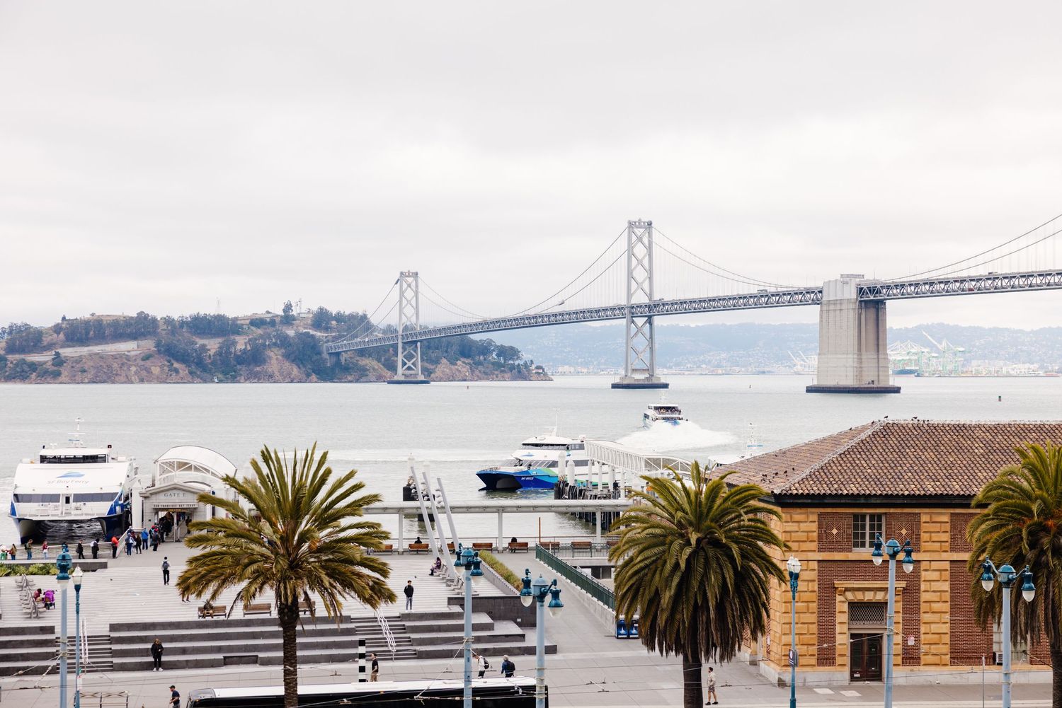Palm trees and buildings line the waterfront with the Bay Bridge visible in the background on a sunny San Francisco day.