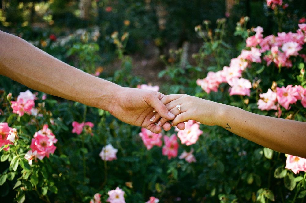 Two people holding hands with pink roses blooming in the background, symbolizing love and connection.