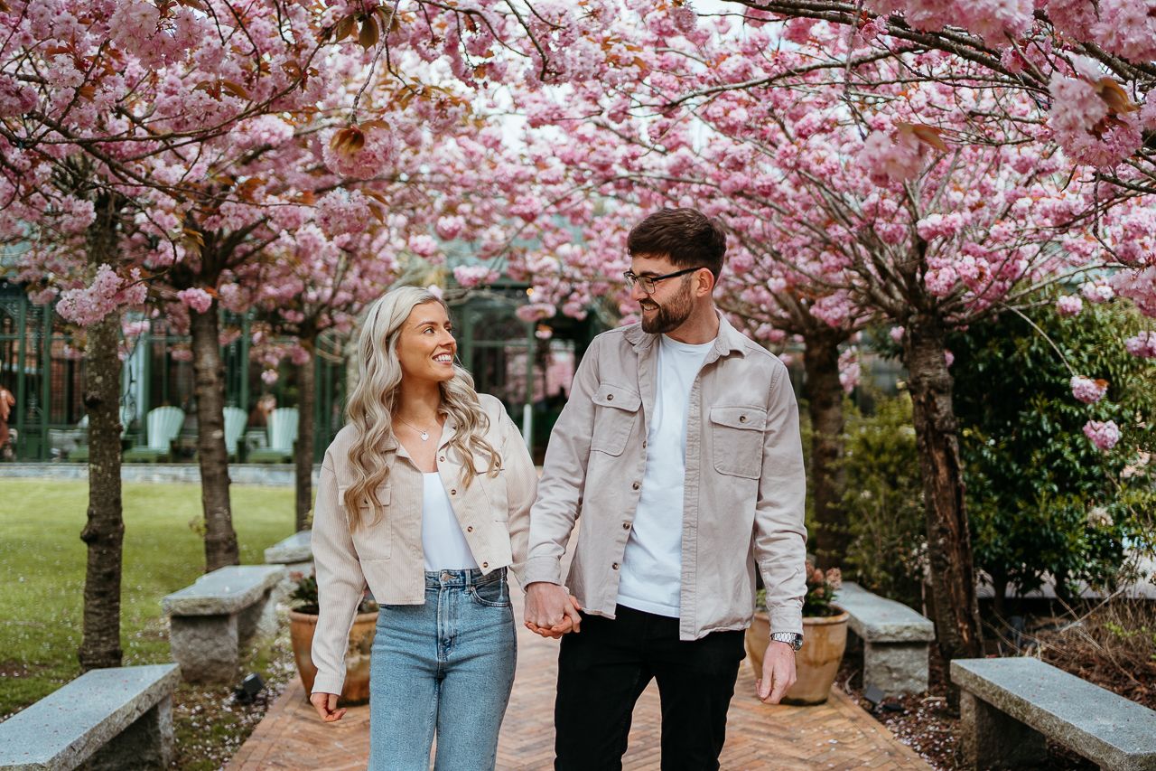 Romantic couple walking under blooming pink cherry blossom trees in spring.