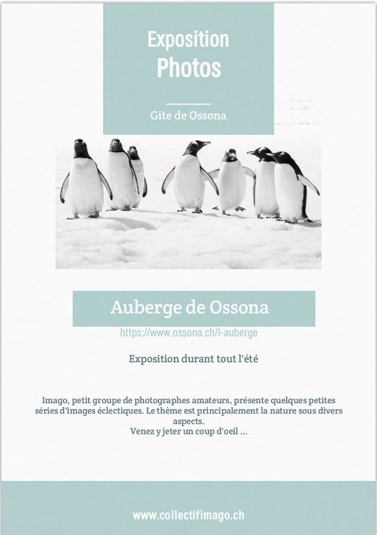 Black and white photo of a group of penguins standing on snow, featured on a French photography exhibition poster.