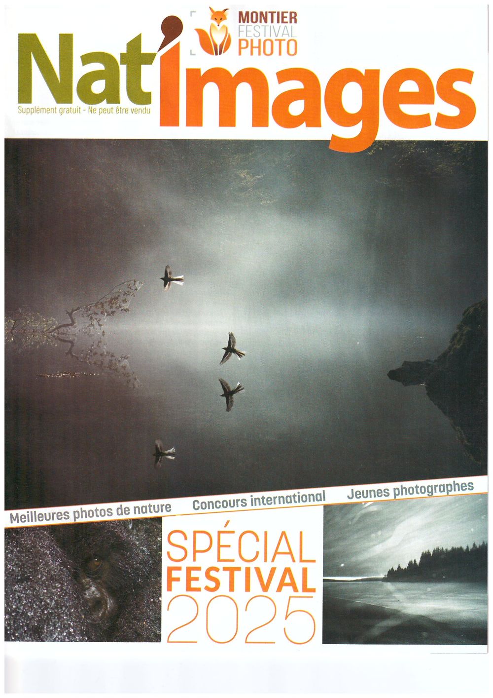Birds soar through a moody gray sky over silhouetted mountains in a dramatic nature photography festival banner.