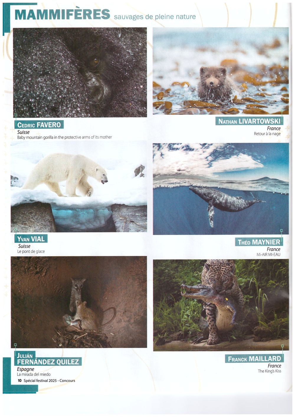 A collage of wildlife photographs showing various mammals including polar bears, seals, and other animals in their natural habitats.