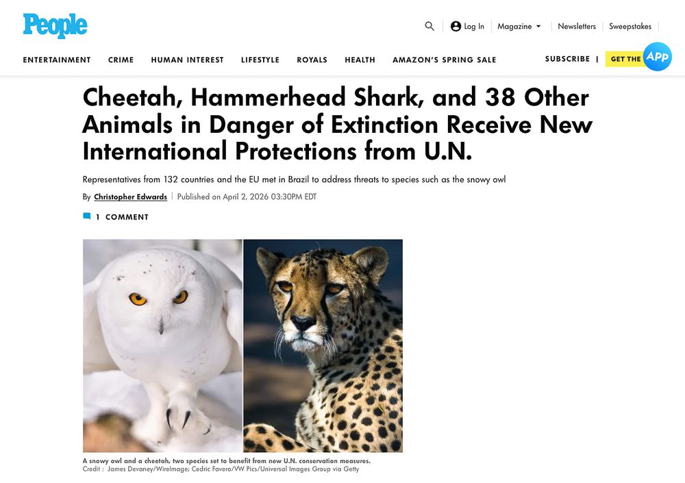 A snowy owl and cheetah featured in a People magazine article about 40 animals receiving new UN international protections.