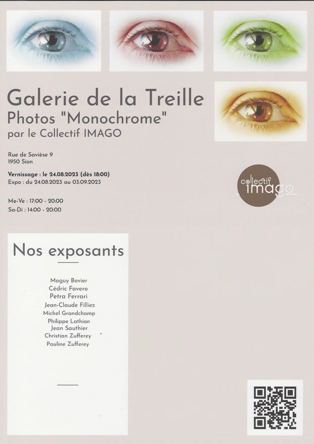 Exhibition poster for Galerie de la Treille featuring four colorful monochrome eye photos in blue, red, green and yellow.