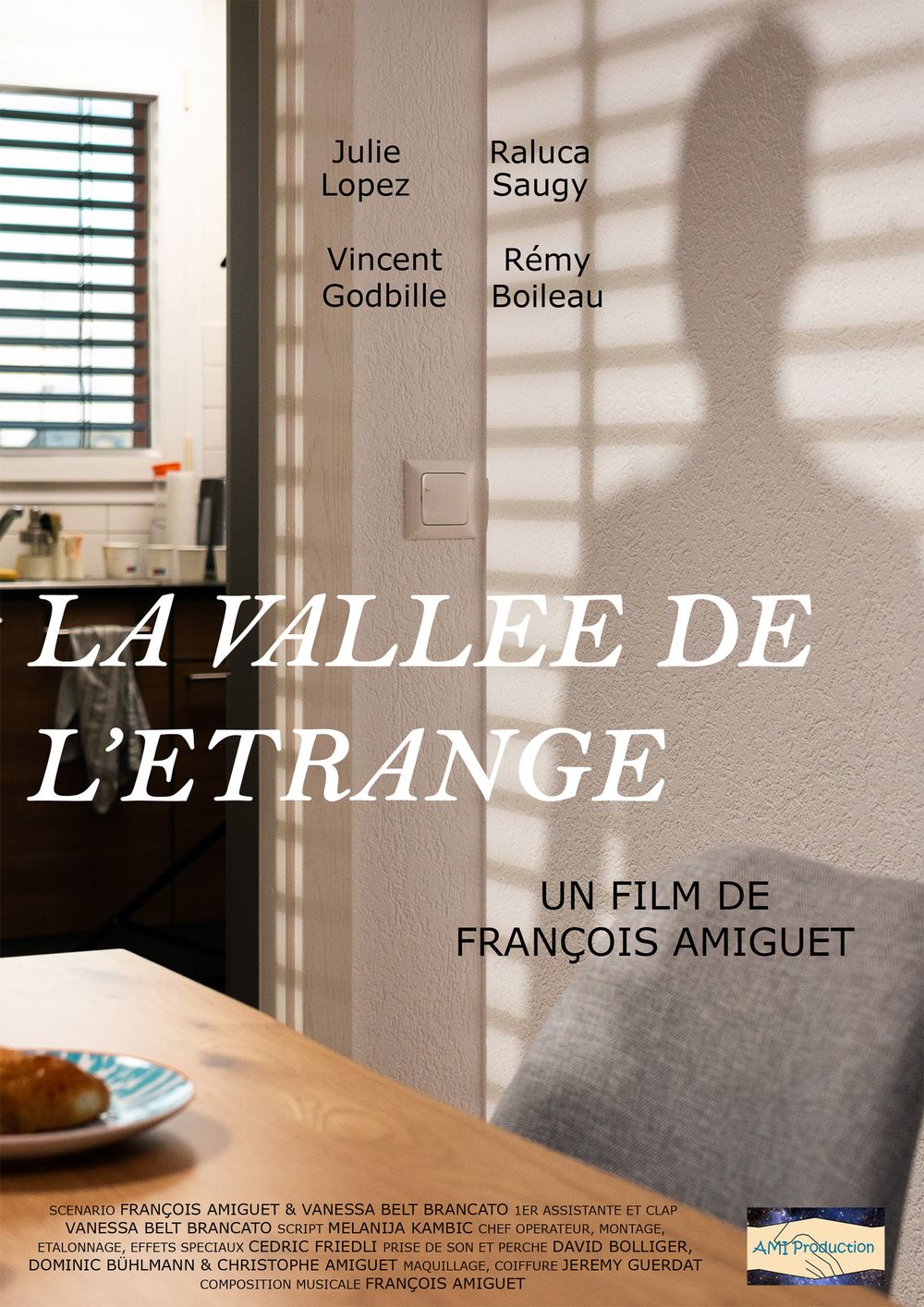 Movie poster for La Vallee de L'Etrange, a French film by Francois Amiguet, featuring a shadowy figure on a wall.