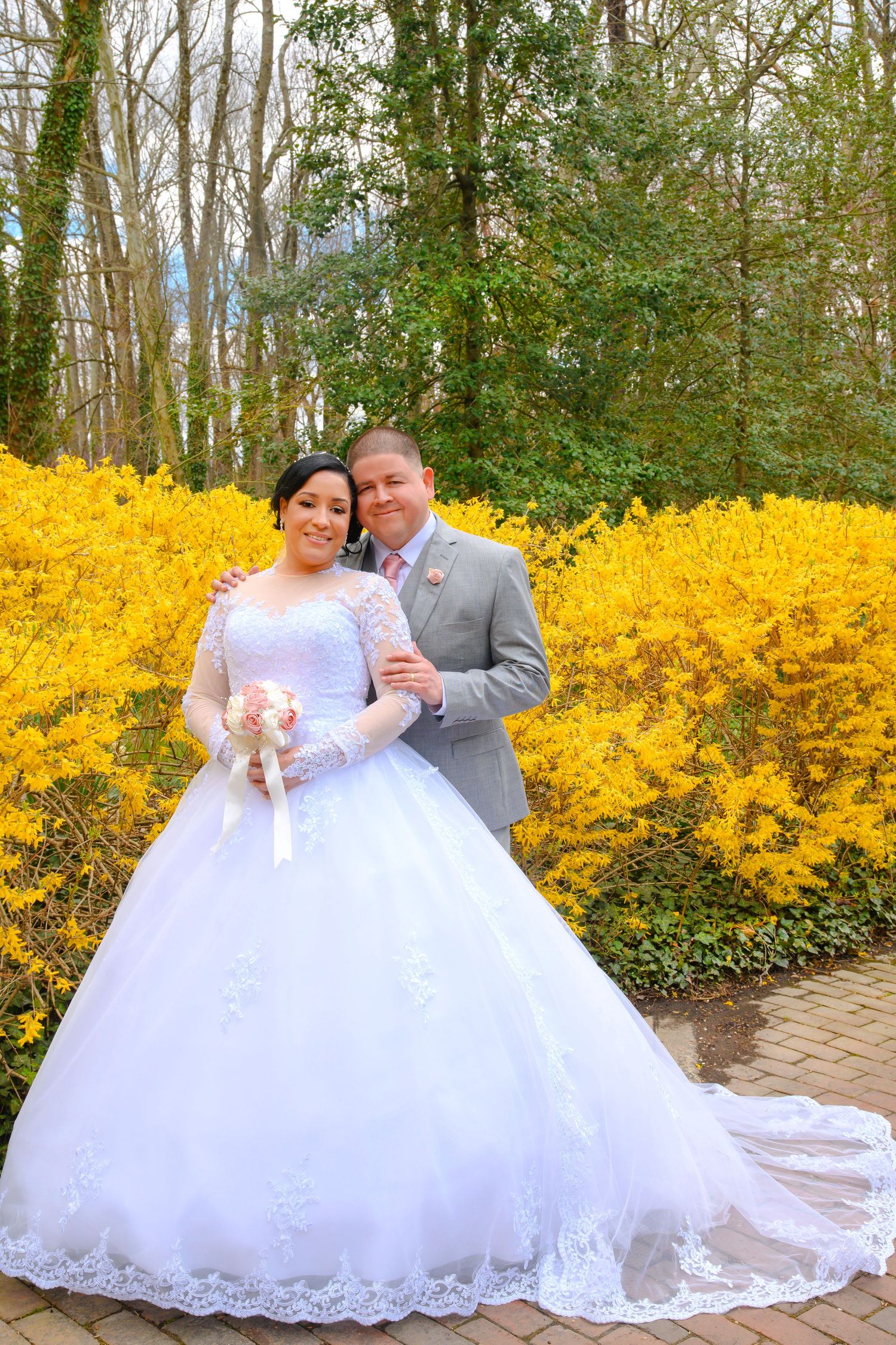 A couple in wedding attire poses in front of vibrant yellow forsythia bushes and trees along a pathway.