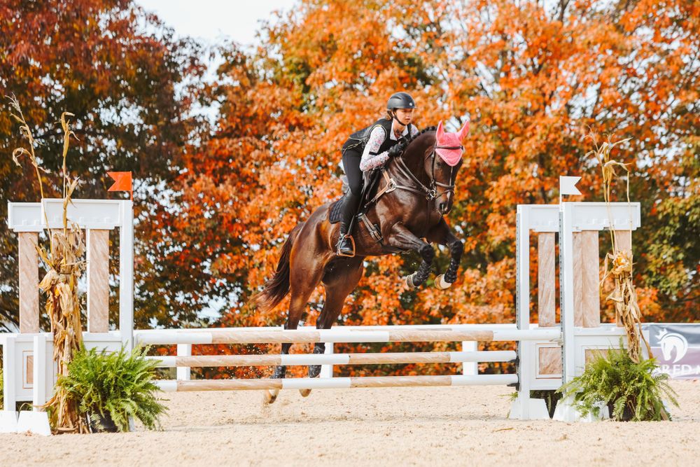 Equestrian jumping competition with vibrant fall colors and white fencing in the background.