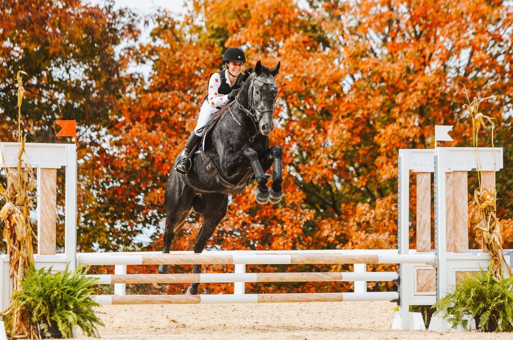 Show jumping arena with orange fall foliage and white fencing in the background.