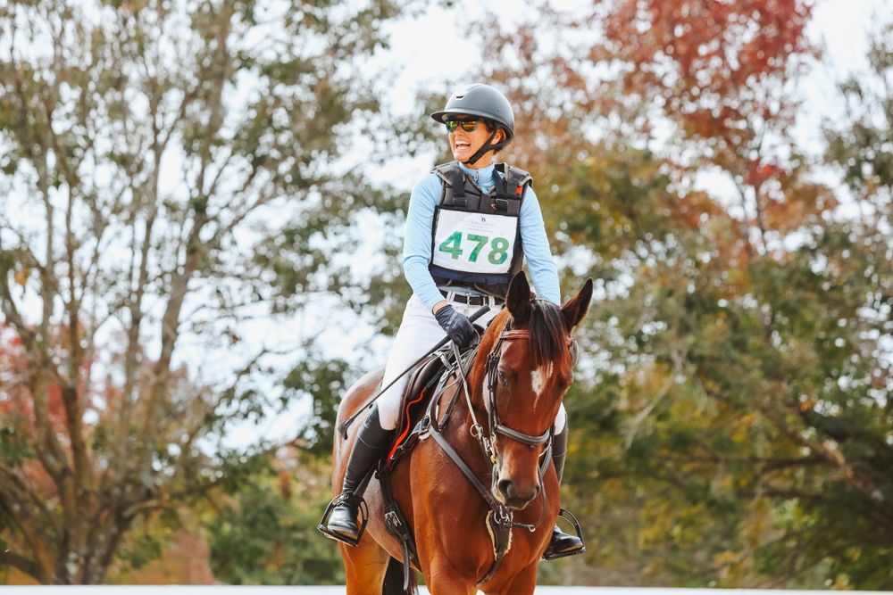 Horse and rider competing on a show jumping course with autumn trees in the background.