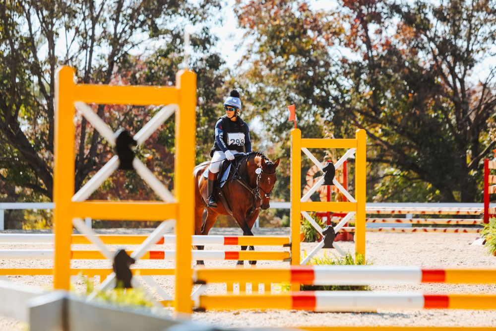 Orange and white show jumping obstacles set up in an outdoor equestrian arena.