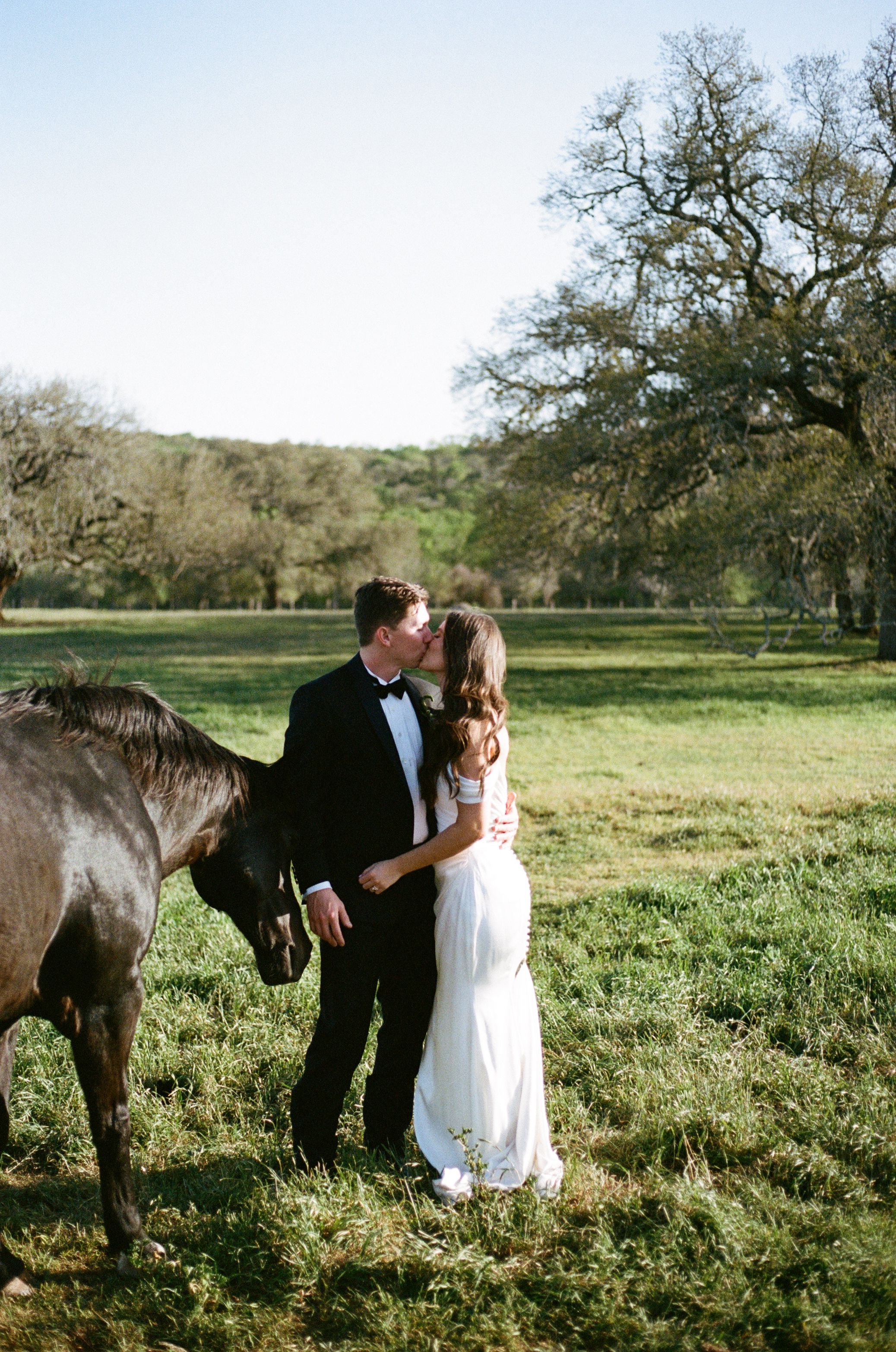 Wedding couple shares romantic moment with horse in sunny green pasture.