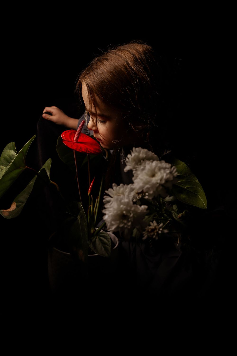 Shoalhaven Family Studio photography - Shoalhaven Photographer- Claire Frances Photography