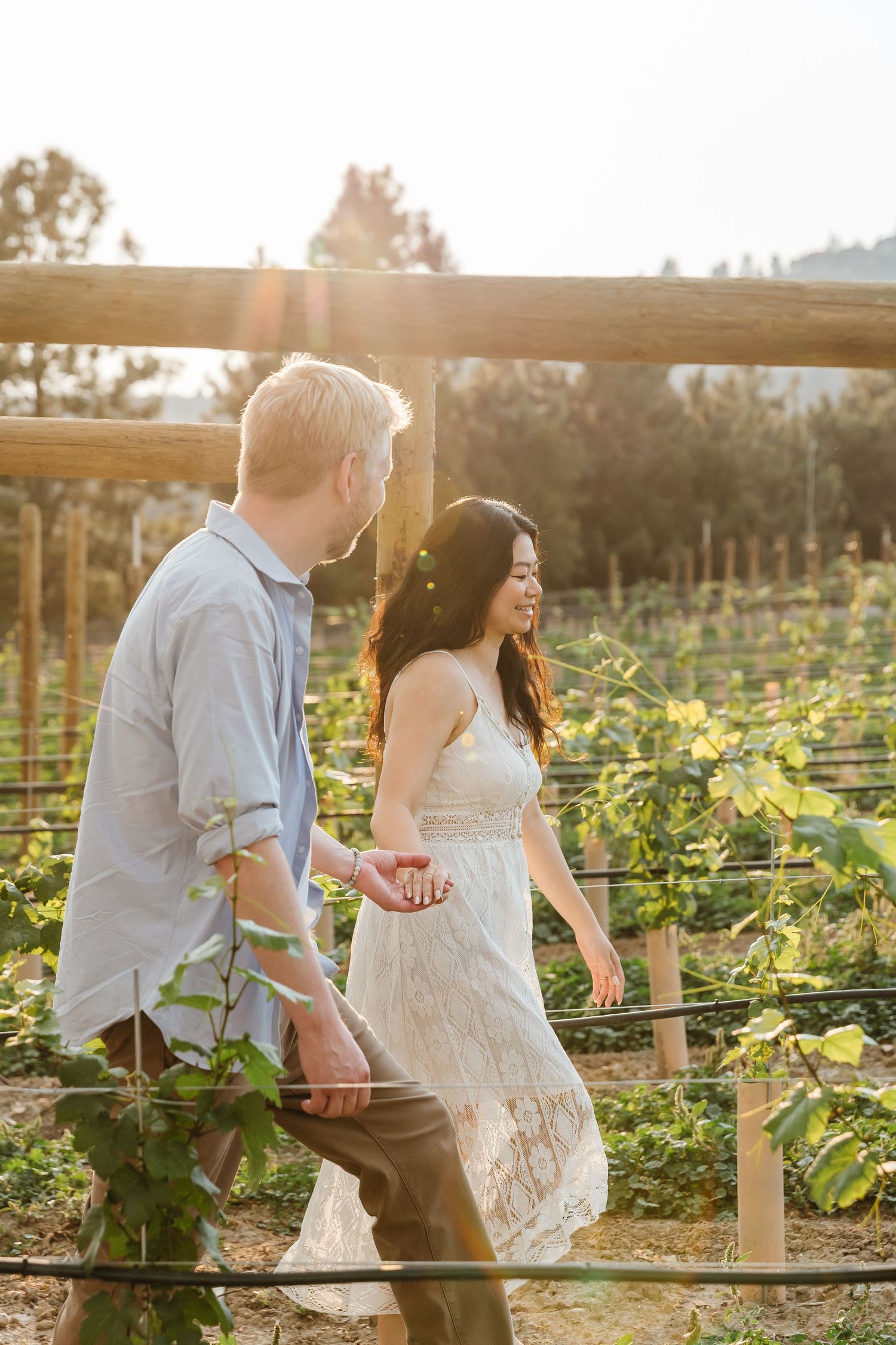A couple shares a romantic moment in a sunlit vineyard during golden hour.