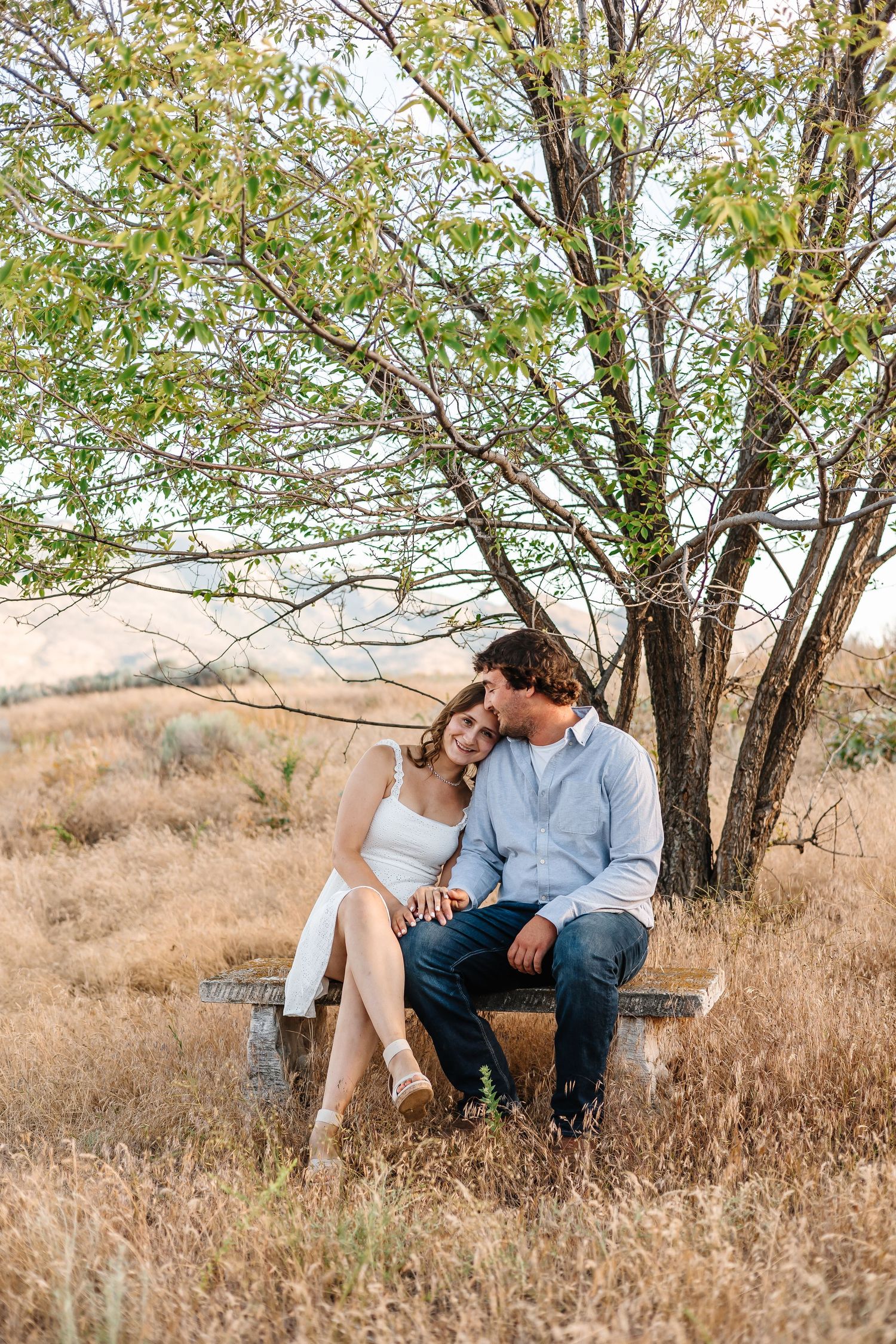 Couple sitting under autumn tree in dry grass field during engagement photoshoot.