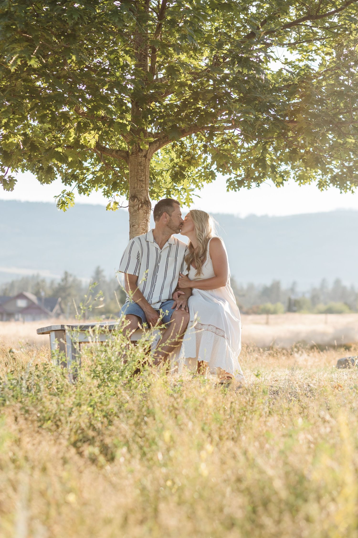 A romantic couple sits together on a bench in a sunlit meadow surrounded by tall grass and trees.