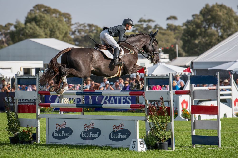Equestrian athlete guiding horse over competition jump with sponsored banners below.