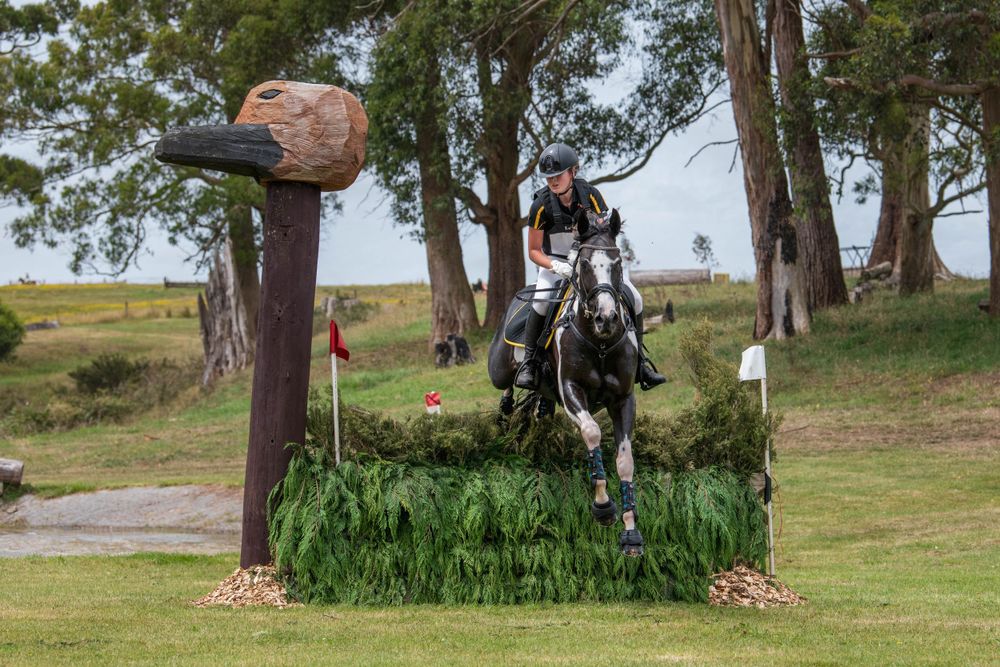 A rider guides their horse over a challenging brush fence during cross-country competition.