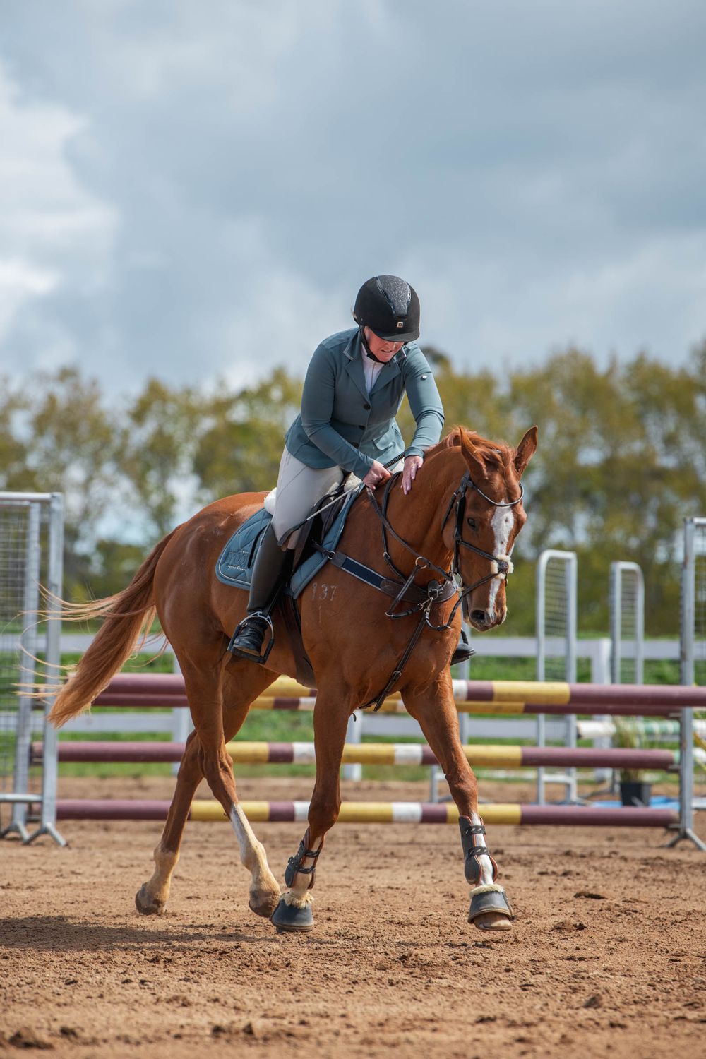 A chestnut horse and rider  in a sandy arena.