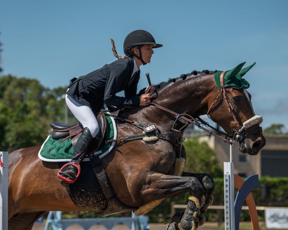 Rider in black jacket competing on a chestnut horse mid-jump during an equestrian show jumping event.