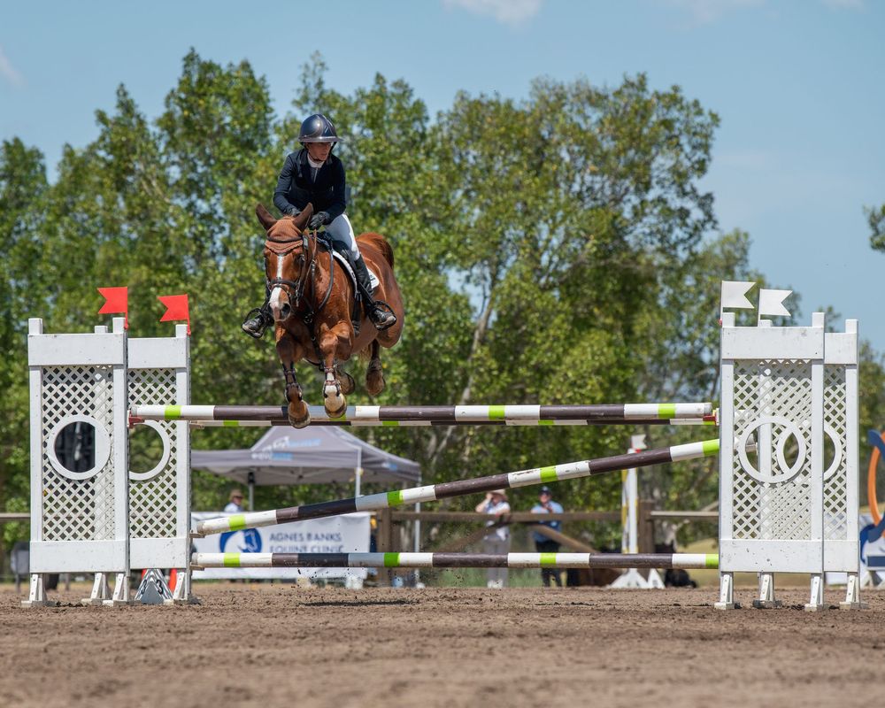 Equestrian rider on chestnut horse jumping over white fence obstacle in outdoor show jumping competition.