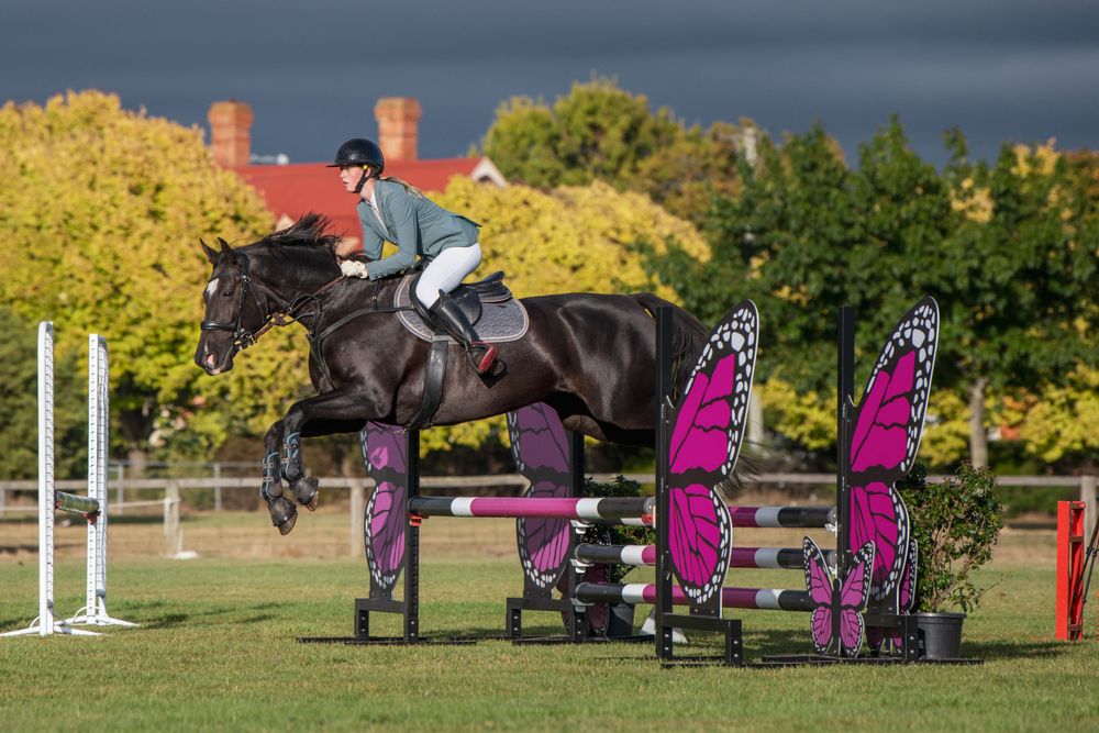 Horse and rider clearing vibrant purple butterfly-themed jump obstacles during equestrian competition.