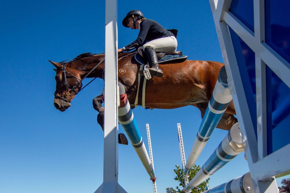 Equestrian rider on chestnut horse jumping over colorful show jumping fence against clear blue sky.