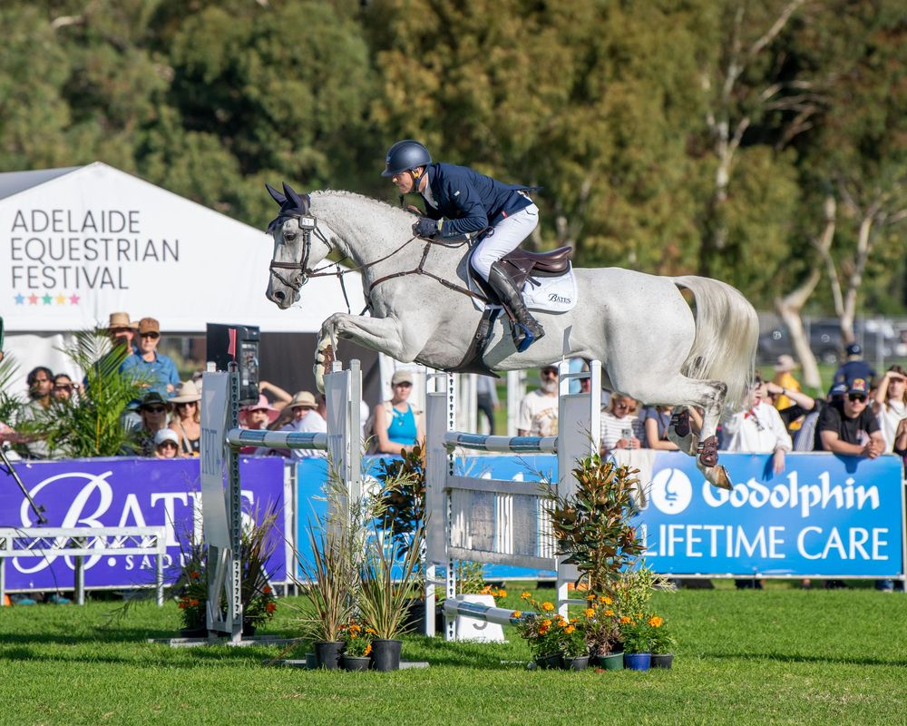 Rider on grey horse jumping at Adelaide Equestrian Festival with Godolphin Lifetime Care banner and crowd.