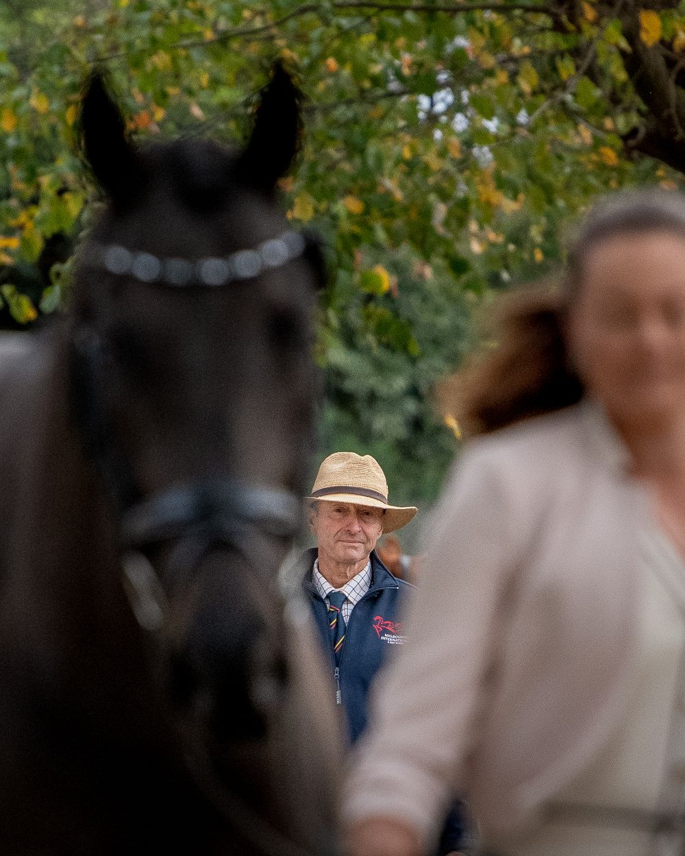 A black horse in bridle stands before an elderly man in a straw hat and a blurred woman at an outdoor equestrian event.