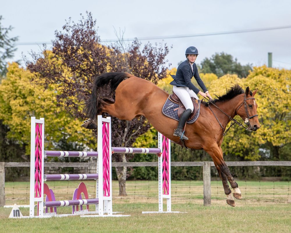 Rider on chestnut horse jumping pink and white show jump fence outdoors at equestrian competition.