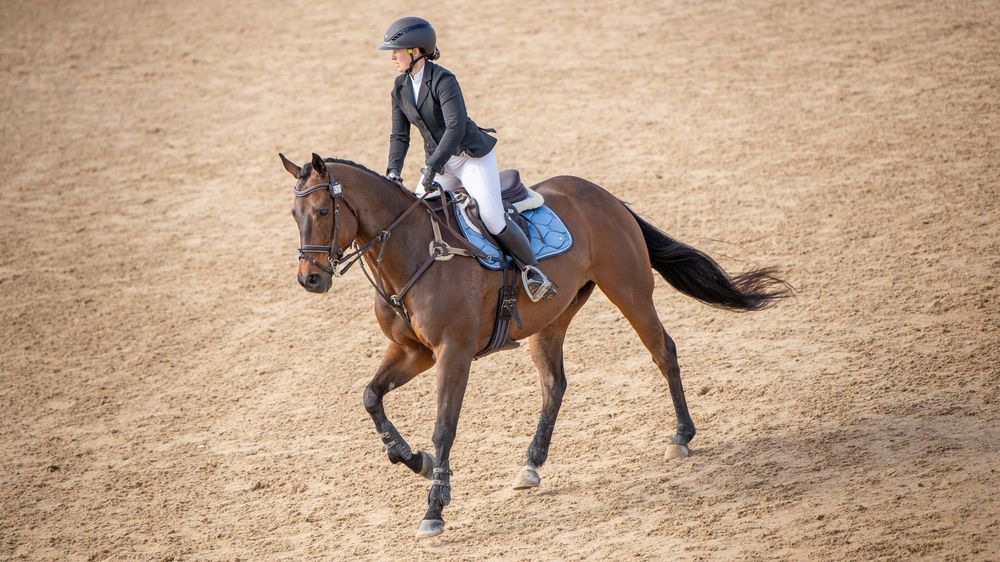 Equestrian rider in white outfit on chestnut horse trotting in sandy arena during competition.
