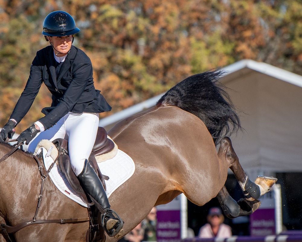 Equestrian rider in black jacket and white breeches competing on a brown horse at an outdoor show jumping event.
