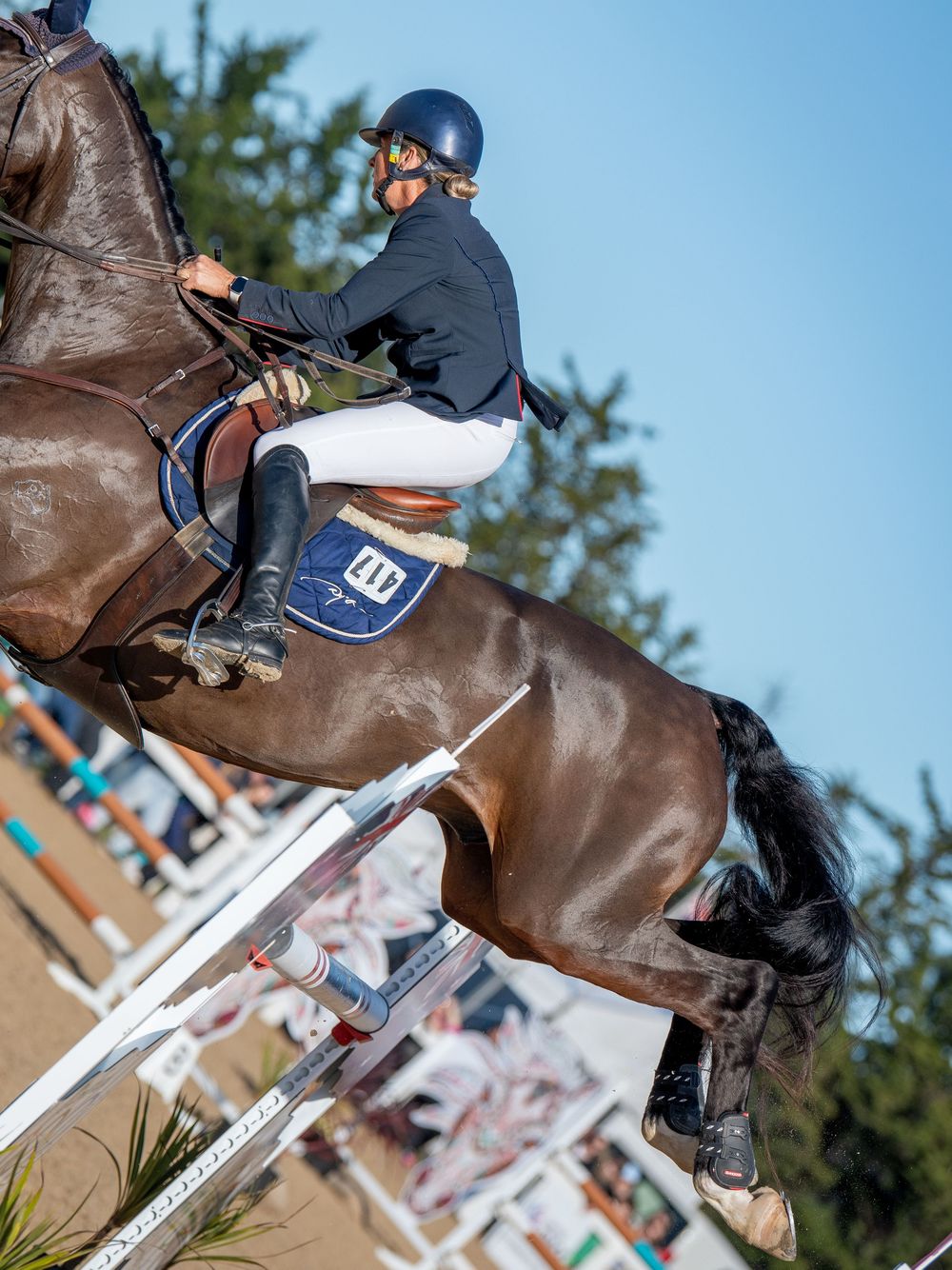 Equestrian rider in helmet and white breeches jumping a dark bay horse over a show jumping fence outdoors.