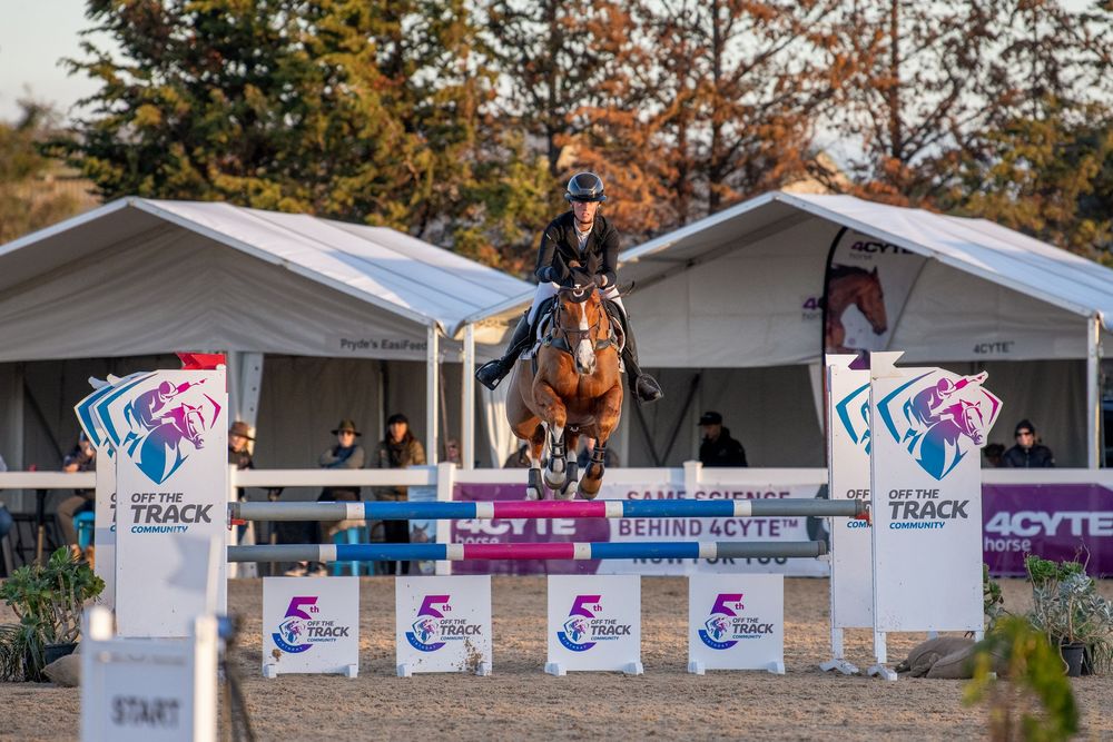 Equestrian athlete riding a chestnut horse mid-jump over colorful show jumping poles at an outdoor competition.