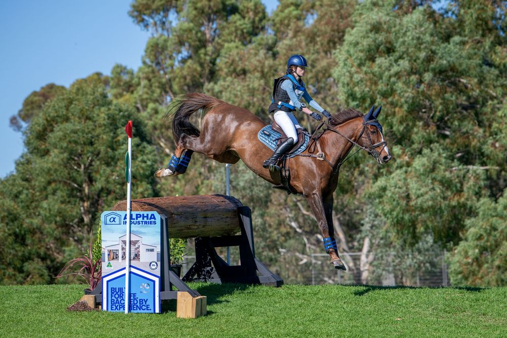 Equestrian rider on chestnut horse jumping obstacle at cross-country event on sunny day.