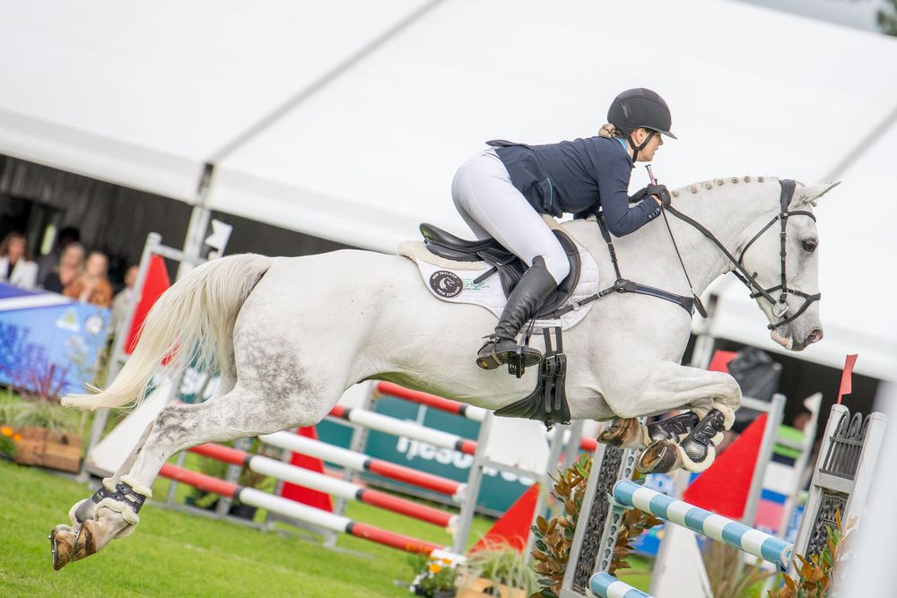 Equestrian rider in black jacket jumping a grey horse over a colorful fence at an outdoor show jumping competition.