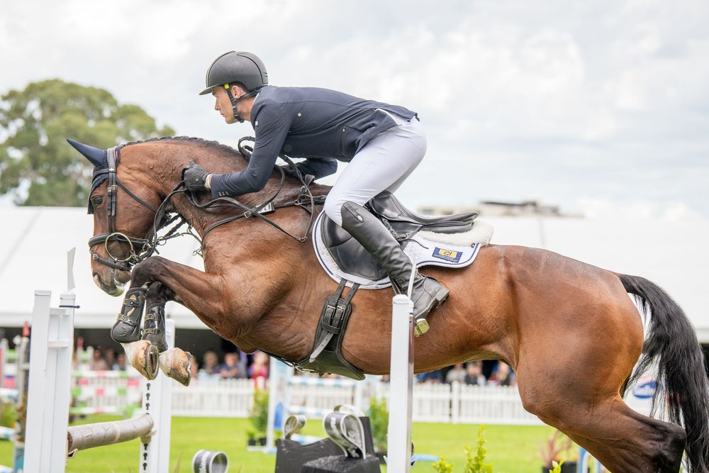 Equestrian rider in black jacket jumping a bay horse over a show jumping fence at an outdoor competition.