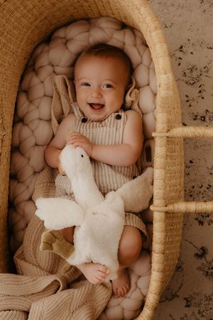 A series of photos showing a baby in a woven basket lying on a plush ivory blanket with a white stuffed bunny toy.