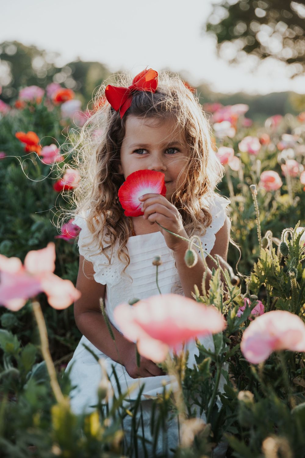 A whimsical moment in a poppy field with curly hair and red bow smelling a pink flower at sunset.