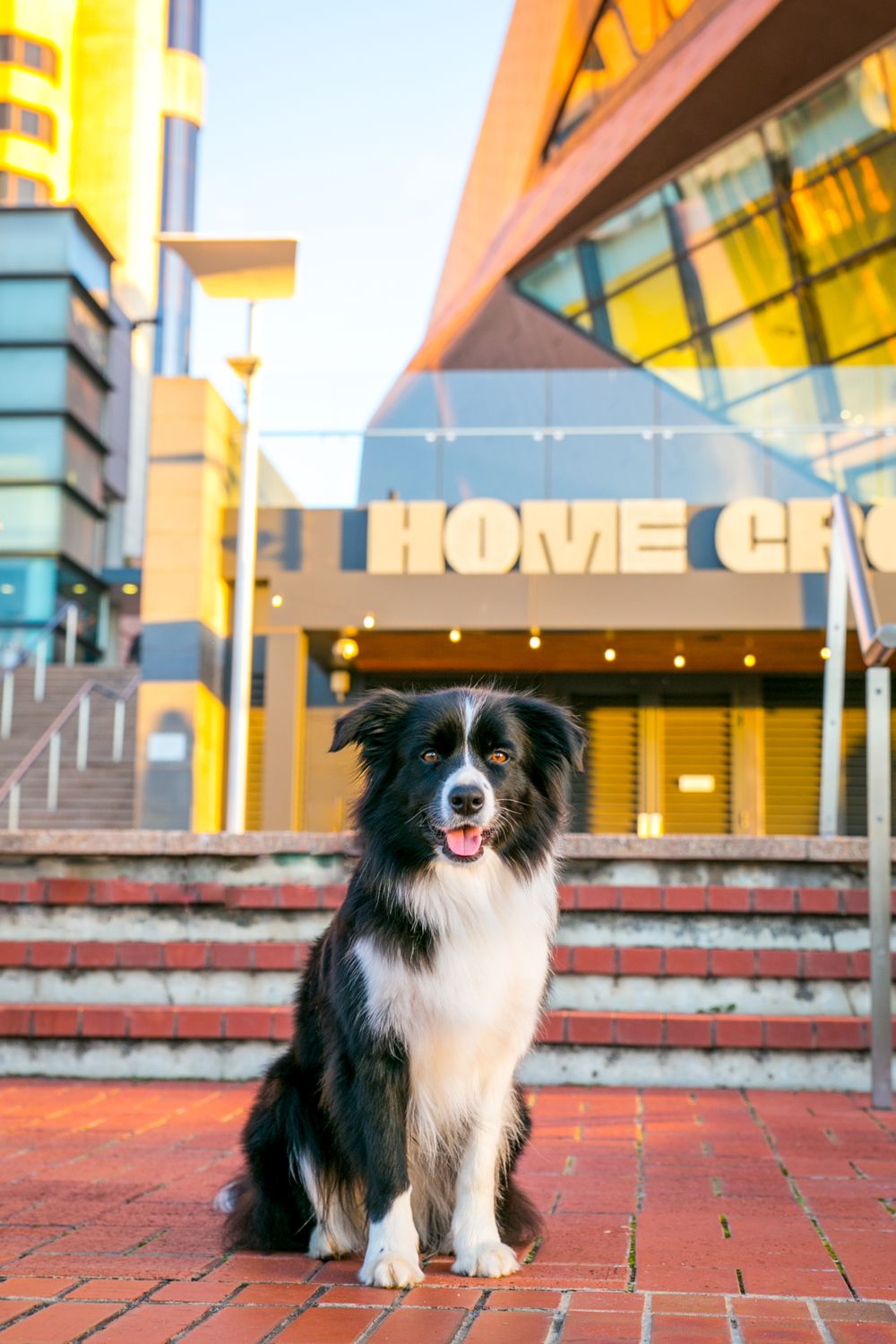 Adelaide Family Pet Photographer