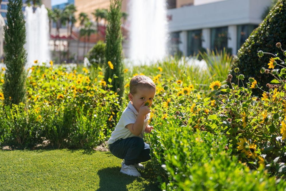 A curious toddler crouches on a lawn in front of a flower garden, with palm trees and fountains in the background.
