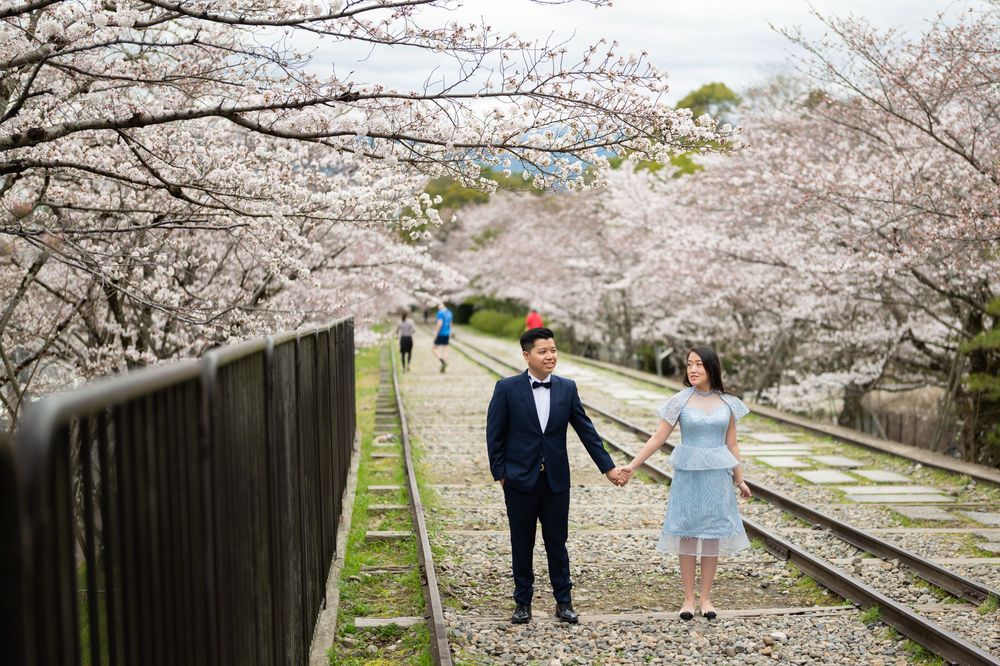 Couple in formal attire holding hands on old railway tracks beneath blooming cherry blossom trees during a spring pre-wedding photo shoot.