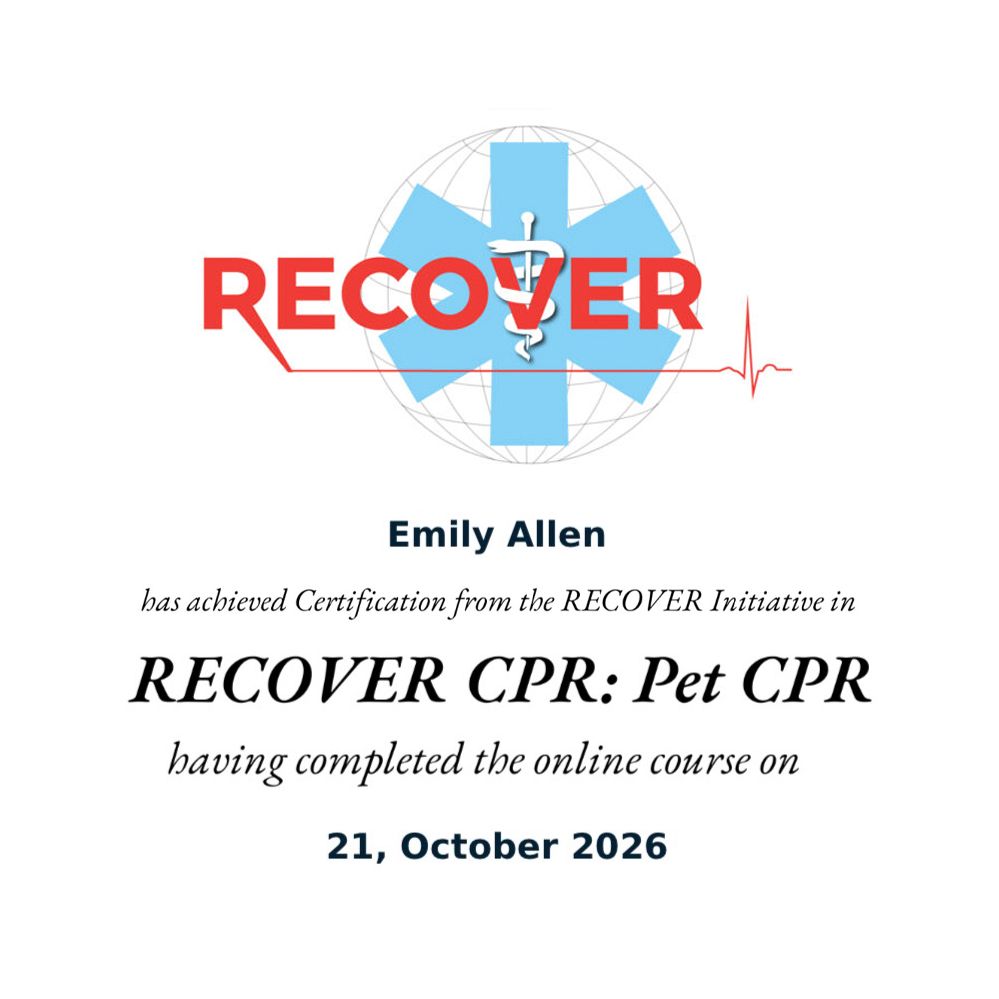 RECOVER CPR Pet CPR certificate awarded to Emily Allen for completing the online course on October 21, 2026.