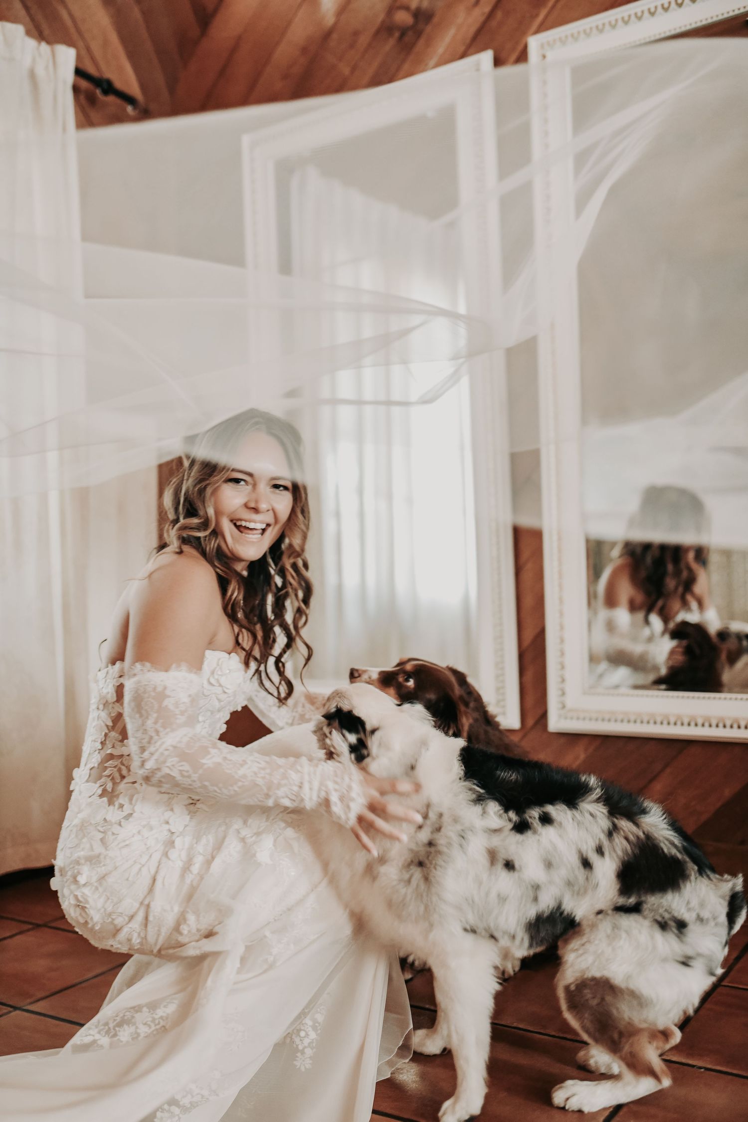 Bride and her dogs underneath her veil at Lucky Spur Ranch