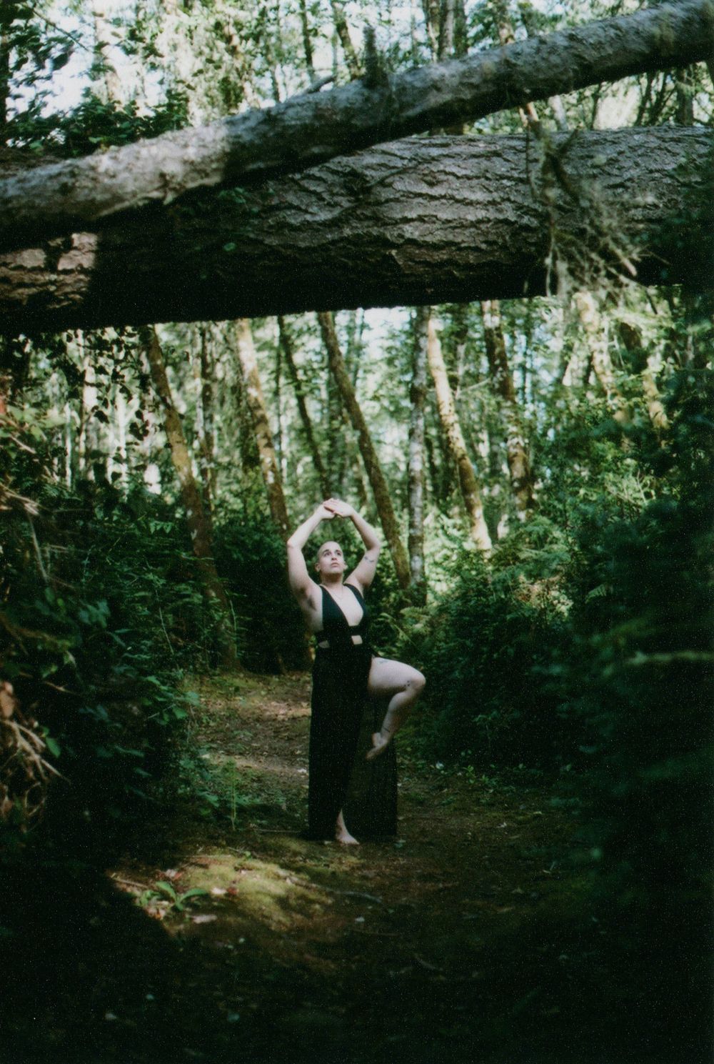 Woman in a long black dress poses with raised arms and one knee bent on a forest path beneath a large fallen tree trunk.