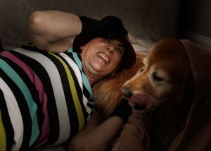 Woman in striped shirt laughing with golden retriever dog on couch.
