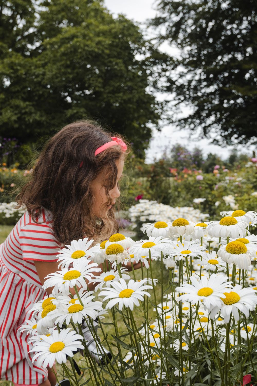 Young girl in red striped dress smelling white daisy flowers in a lush garden park.