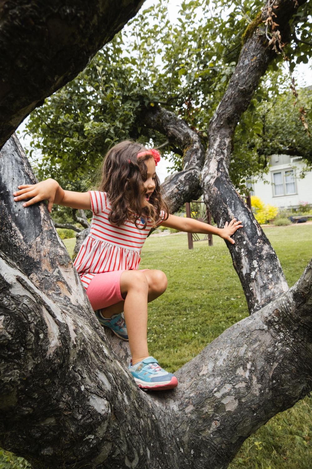 Young girl in pink striped dress climbing a large tree in a lush green backyard garden.
