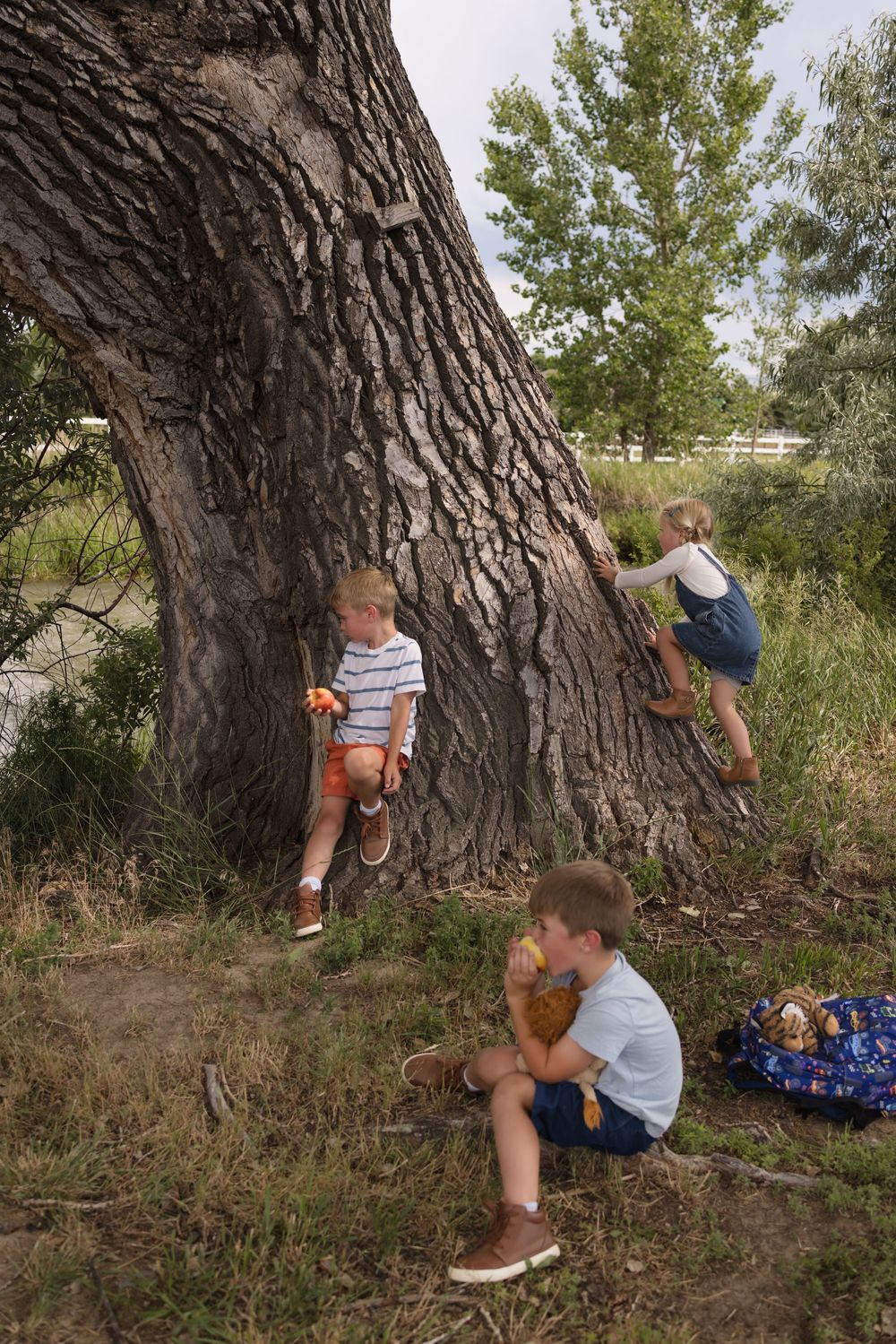 Three children play outdoors near a large tree, with one climbing, one standing, and one sitting holding stuffed animals.